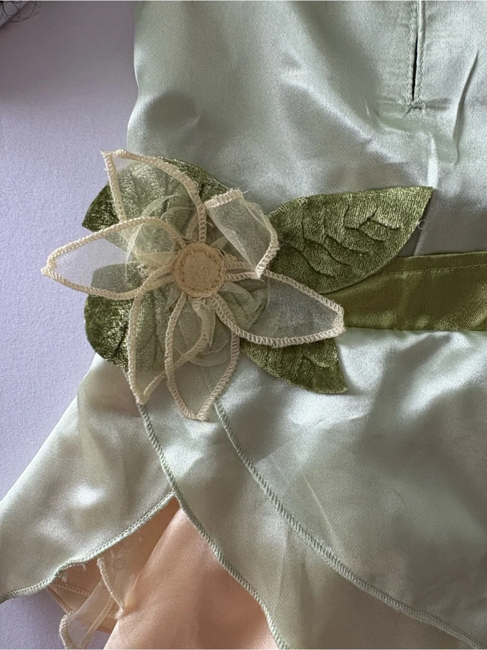 Disney Tails Green Tiana Pet Costume